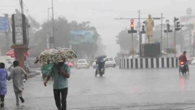 MP Weather Update: चक्रवात ‘अर्नब’ का असर, मध्यप्रदेश के 31 जिलों में अलर्ट; 5 जिलों में भारी बारिश की चेतावनी