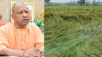 फसलों के नुकसान की होगी भरपाई, सोमवार को गोरखपुर से किसानों के खातों में धनराशि भेजेंगे मुख्यमंत्री योगी आदित्यनाथ