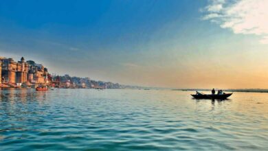 स्वच्छ गंगा: योगी सरकार के प्रयासों से आर्द्रभूमि संरक्षण को नई दिशा, गंगा पुनर्जीवन के लिए तेज हुआ वैज्ञानिक प्रबंधन