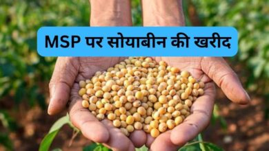 सोयाबीन उपार्जन के लिए किसानों का पंजीयन 3 से 17 अक्टूबर तक