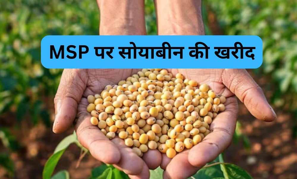 सोयाबीन उपार्जन के लिए किसानों का पंजीयन 3 से 17 अक्टूबर तक