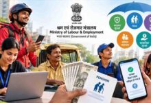 दीपावली से पहले केंद्र सरकार का बड़ा फैसला, गिग और असंगठित मजदूरों के लिए बनेगा सोशल सिक्योरिटी बोर्ड