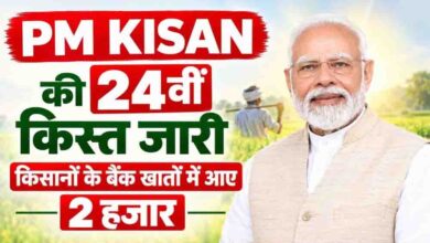 PM किसान की 24वीं किस्त जारी, दिवाली से पहले किसानों को मोदी सरकार की सौगात