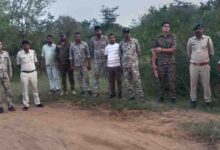 कूनो में चीते की गोली मारकर हत्या का मामला, 6 वनकर्मी सस्पेंड और STF गठित