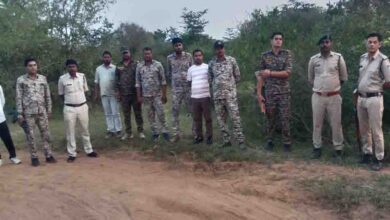कूनो में चीते की गोली मारकर हत्या का मामला, 6 वनकर्मी सस्पेंड और STF गठित