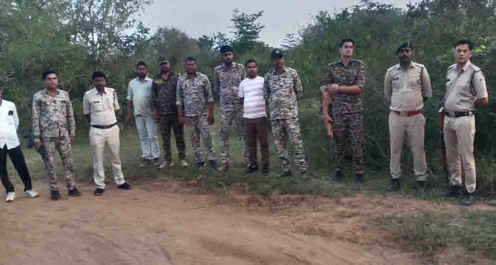 कूनो में चीते की गोली मारकर हत्या का मामला, 6 वनकर्मी सस्पेंड और STF गठित