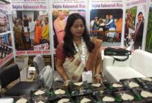 UP International Trade Show 2026 में छाया कालानमक चावल, सिद्धार्थनगर की कुकीज़ ने जीता खरीदारों का ध्यान