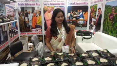 UP International Trade Show 2026 में छाया कालानमक चावल, सिद्धार्थनगर की कुकीज़ ने जीता खरीदारों का ध्यान