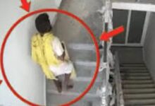 दीपक लोधी की मौत से पहले का फुटेज सामने आया, आखिरी पलों में छत की ओर बढ़ते दिखे