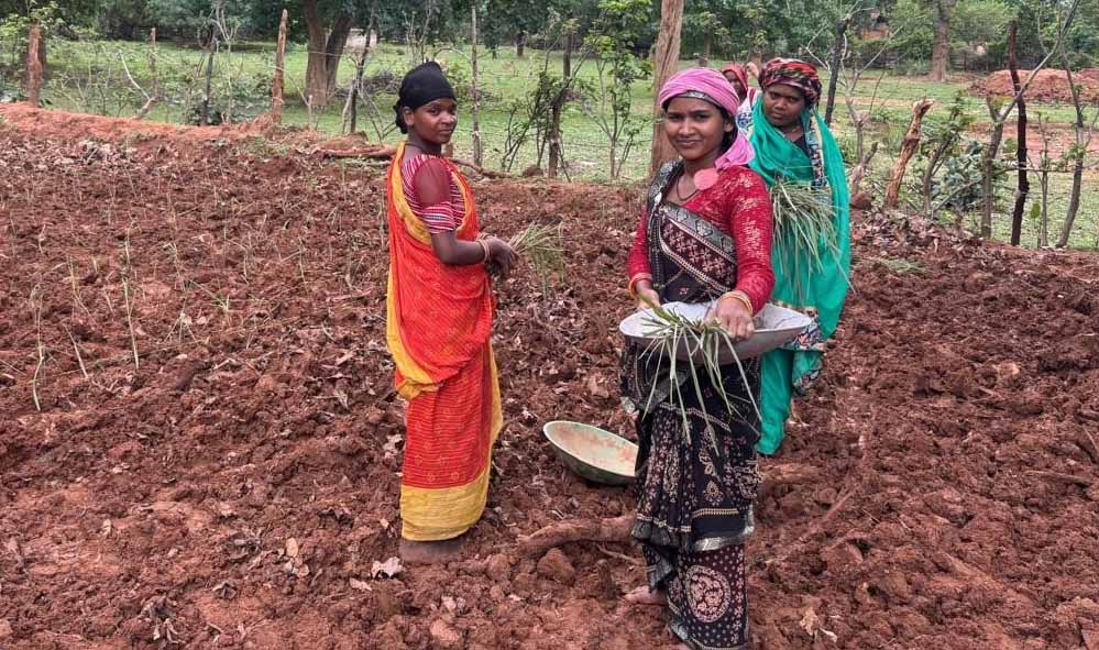 लेमन ग्रास की खुशबू से महक रही आत्मनिर्भरता, जीपीएम की महिलाएं बढ़ रहीं ‘लखपति दीदी’ बनने की राह पर लेमन ग्रास की खुशबू से महक रही आत्मनिर्भरता, जीपीएम की महिलाएं बढ़ रहीं ‘लखपति दीदी’ बनने की राह पर