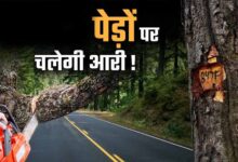 भोपाल मास्टर प्लान 2047 पर पर्यावरण की चिंता, 791 किमी सड़क नेटवर्क के लिए 2.89 लाख पेड़ों पर खतरा