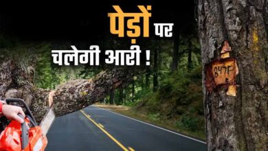 भोपाल मास्टर प्लान 2047 पर पर्यावरण की चिंता, 791 किमी सड़क नेटवर्क के लिए 2.89 लाख पेड़ों पर खतरा