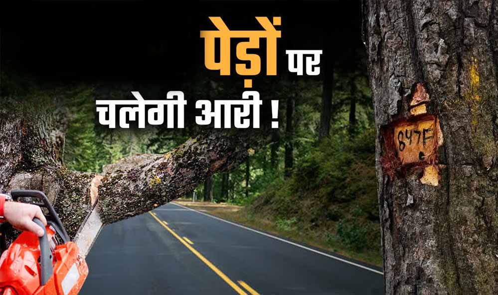 भोपाल मास्टर प्लान 2047 पर पर्यावरण की चिंता, 791 किमी सड़क नेटवर्क के लिए 2.89 लाख पेड़ों पर खतरा