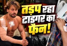 टाइगर श्रॉफ की एक झलक पाने पहुंचे फैन को लगी गोली, अस्पताल में भर्ती; घर पर गर्भवती पत्नी कर रही इंतजार