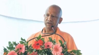योगी सरकार में यूपी के निर्यात को लगे पंख, कालीन उद्योग बना वैश्विक पहचान