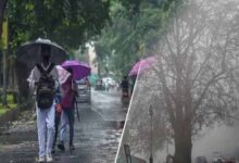 MP Weather: गुलाबी ठंड ने दी दस्तक, पश्चिमी विक्षोभ होगा सक्रिय; कई राज्यों में बारिश के आसार