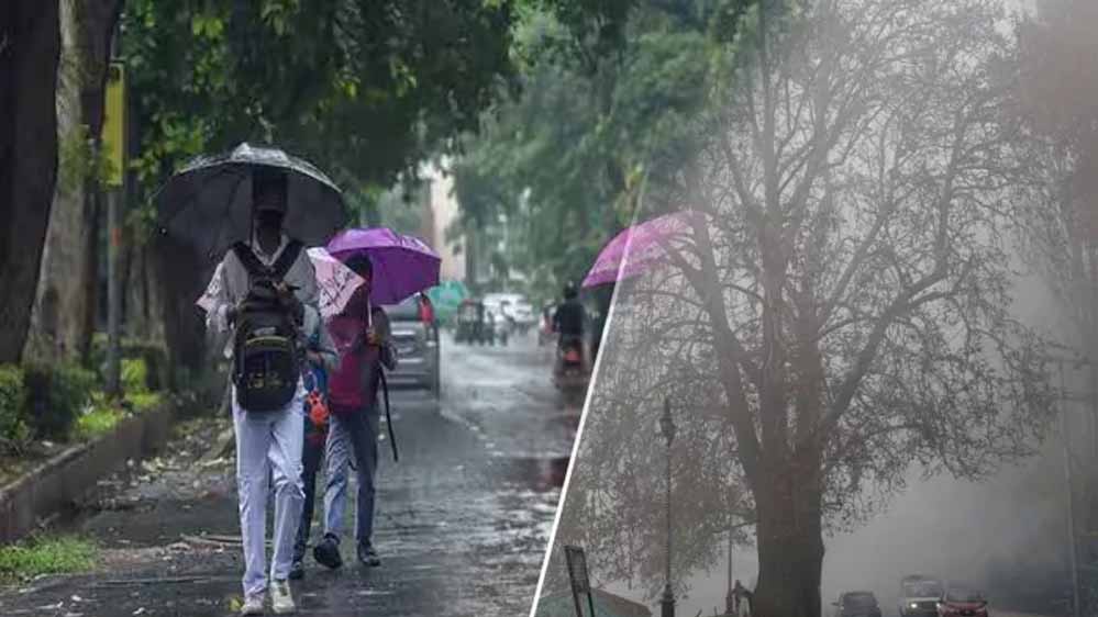 MP Weather: गुलाबी ठंड ने दी दस्तक, पश्चिमी विक्षोभ होगा सक्रिय; कई राज्यों में बारिश के आसार