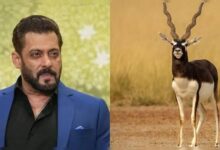 ‘काला हिरण’ फिल्म विवाद में सलमान खान से जवाब तलब, दिल्ली हाईकोर्ट में फिर गरमाया