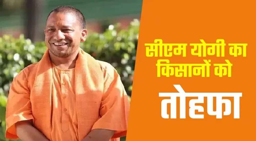 किसानों से 2.85 लाख मीट्रिक टन मोटा अनाज खरीदेगी योगी सरकार किसानों से 2.85 लाख मीट्रिक टन मोटा अनाज खरीदेगी योगी सरकार