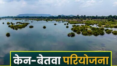 केन-बेतवा लिंक परियोजना पर MP हाईकोर्ट सख्त, केंद्र सरकार से CEC की रिपोर्ट पेश करने के निर्देश