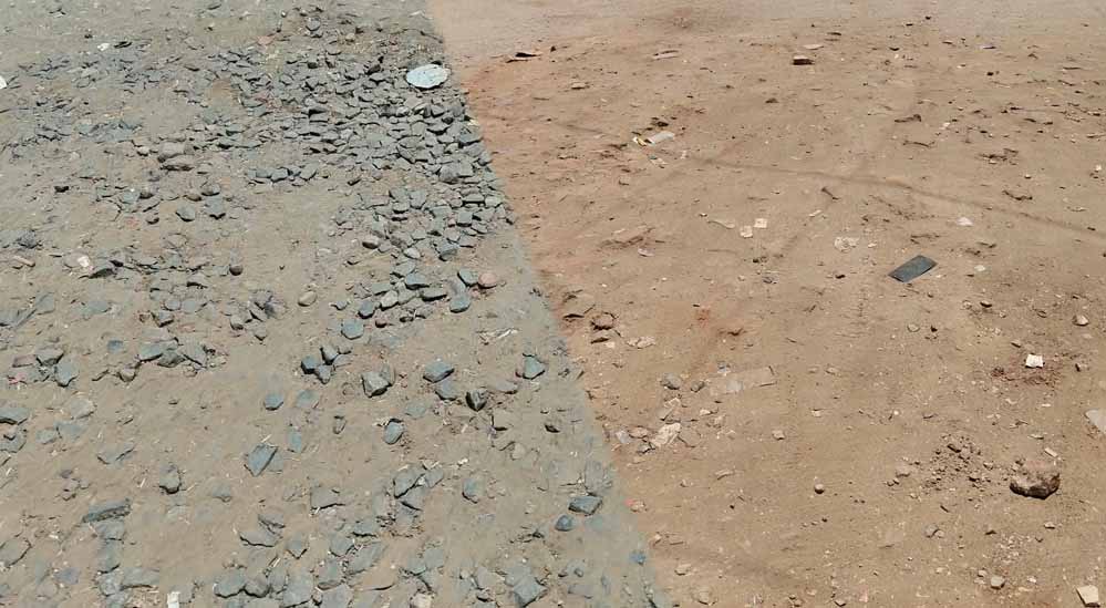 मुरैना में महापौर बीजेपी की, विधायक कांग्रेस के, फिर भी विकास की राह देख रहा शहर