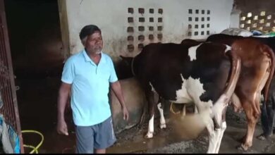 एक गाय से शुरू हुआ सफर, आज 10 पशुओं का समृद्ध पशुधन