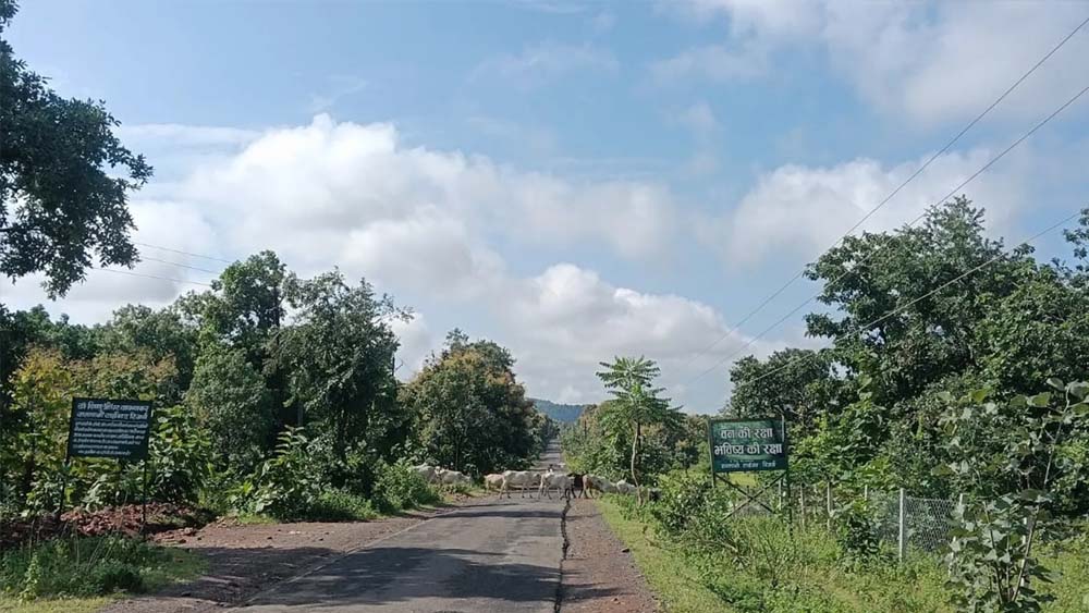 CG से मानसून की विदाई शुरू, दिन का तापमान बढ़ने से गर्मी बढ़ी