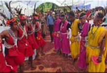 सेवा संकल्प अभियान में कलेक्टर ने ग्रामीणों संग किया मांदरी नृत्य