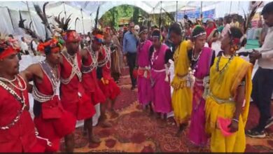 सेवा संकल्प अभियान में कलेक्टर ने ग्रामीणों संग किया मांदरी नृत्य