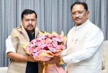 CM साय ने BJP राष्ट्रीय अध्यक्ष नितिन नबीन से की मुलाकात, कई मुद्दों पर हुई चर्चा