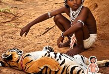 ग्रामीण पर्यटन को बढ़ावा देने मिलेगा ₹1 लाख का ‘चेन्दरू राज्य ग्रामीण पर्यटन पुरस्कार’