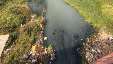 CG हाईकोर्ट की सख्ती, पूछा- 4 STP से कैसे साफ होगा अरपा नदी में गिरने वाले 70 नालों का पानी?