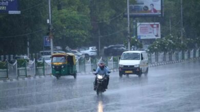 CG Weather: छत्तीसगढ़ के कुछ हिस्सों से अगले 48 घंटे में मानसून की वापसी, मौसम में होगा बदलाव