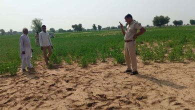 Satna News: सतना में नकाबपोश बदमाशों का आतंक, किसान का गला रेता और जेवर लूटे, 5 गंभीर घायल