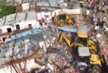 Bhopal News: डेयरी के पास जंगल में मिले गोवंश, गोकशी मामले में संचालक की पत्नी और बेटा भी आरोपी