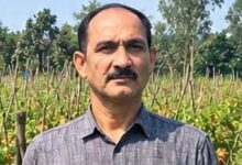 उन्नत टमाटर की खेती से शाहिद की मेहनत लाई रंग, 2 एकड़ में कमाए 1.20 लाख रुपये