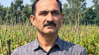 उन्नत टमाटर की खेती से शाहिद की मेहनत लाई रंग, 2 एकड़ में कमाए 1.20 लाख रुपये