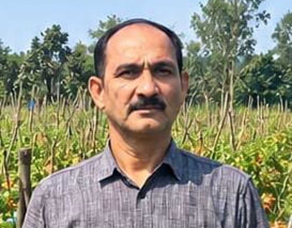 उन्नत टमाटर की खेती से शाहिद की मेहनत लाई रंग, 2 एकड़ में कमाए 1.20 लाख रुपये