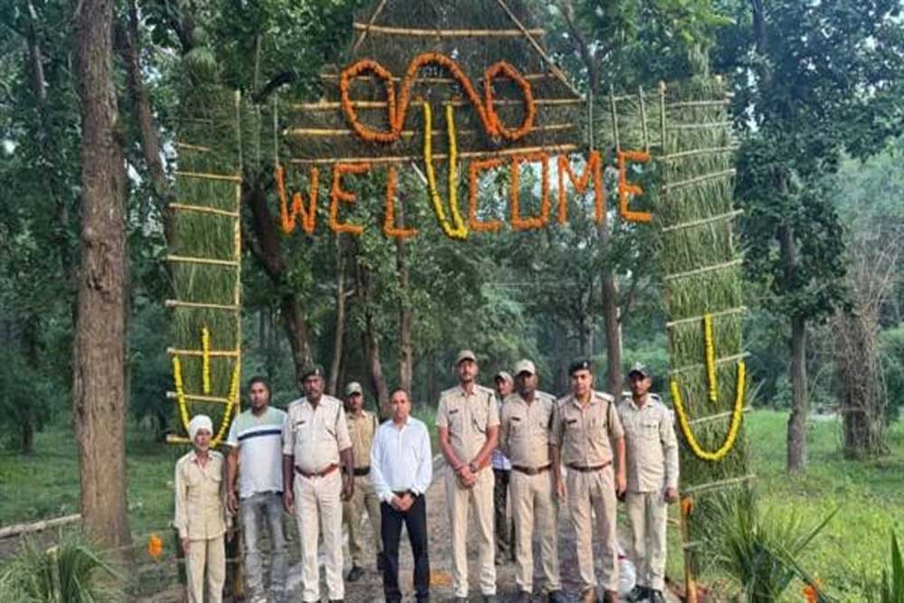 3 माह के लंबे इंतजार के बाद खुला पर्यटकों के लिए बांधवगढ़ का द्वार 3 माह के लंबे इंतजार के बाद खुला पर्यटकों के लिए बांधवगढ़ का द्वार