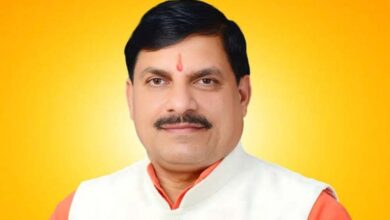दुनियाभर के बाजारों में पहचान बना रहा MP का सोया: सीएम यादव दुनियाभर के बाजारों में पहचान बना रहा MP का सोया: सीएम यादव