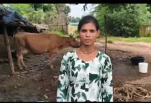 डेयरी व्यवसाय से संध्या बनीं आत्मनिर्भर, दूध की बिक्री से हर महीने हो रही 15 हजार रुपये की बचत