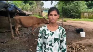 डेयरी व्यवसाय से संध्या बनीं आत्मनिर्भर, दूध की बिक्री से हर महीने हो रही 15 हजार रुपये की बचत