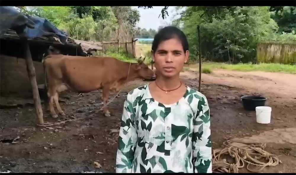 डेयरी व्यवसाय से संध्या बनीं आत्मनिर्भर, दूध की बिक्री से हर महीने हो रही 15 हजार रुपये की बचत