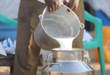प्रदेश के 208 वृंदावन ग्रामों में होगी गोपाल-कृष्ण ग्राम पुरस्कार प्रतियोगिता