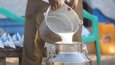 प्रदेश के 208 वृंदावन ग्रामों में होगी गोपाल-कृष्ण ग्राम पुरस्कार प्रतियोगिता