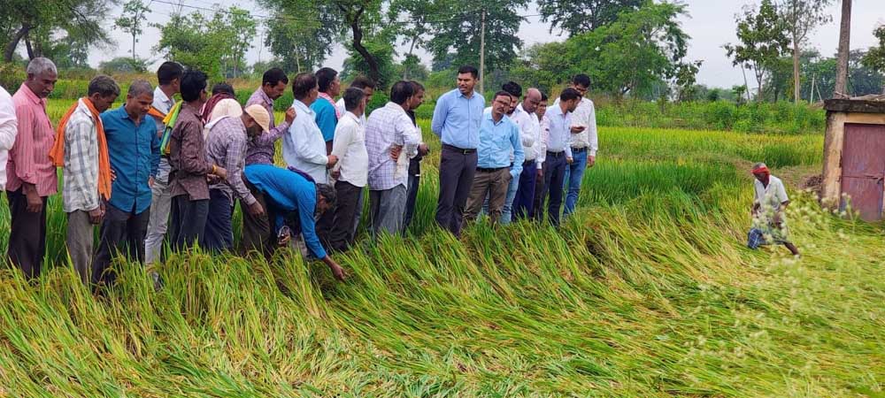अर्नब तूफान से प्रभावित किसानों को राहत देने सक्रिय हुआ प्रशासन, फसल क्षति का सर्वे शुरू अर्नब तूफान से प्रभावित किसानों को राहत देने सक्रिय हुआ प्रशासन, फसल क्षति का सर्वे शुरू