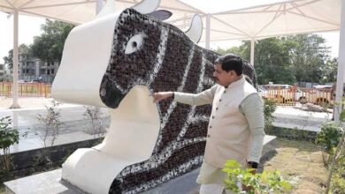 आशीर्वाद का दीया आयोजन के तहत उपयोग किए गए दीयों से बनी नंदी की भव्य आकृति