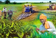 त्रिवर्षीय आबकारी नीति से निर्यात उछला तो यूपी में किसानों और उद्योगों के लिए बढ़े अवसर