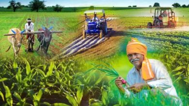 त्रिवर्षीय आबकारी नीति से निर्यात उछला तो यूपी में किसानों और उद्योगों के लिए बढ़े अवसर