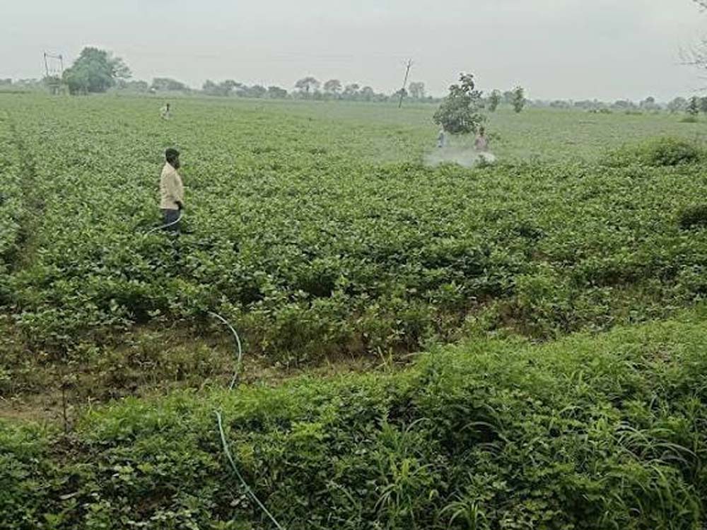 विज्ञान एवं प्रौद्योगिकी विभाग की पहल पर दो दिवसीय स्पेस एप्लीकेशंस एडॉप्शन वर्कशॉप सफलतापूर्वक संपन्न